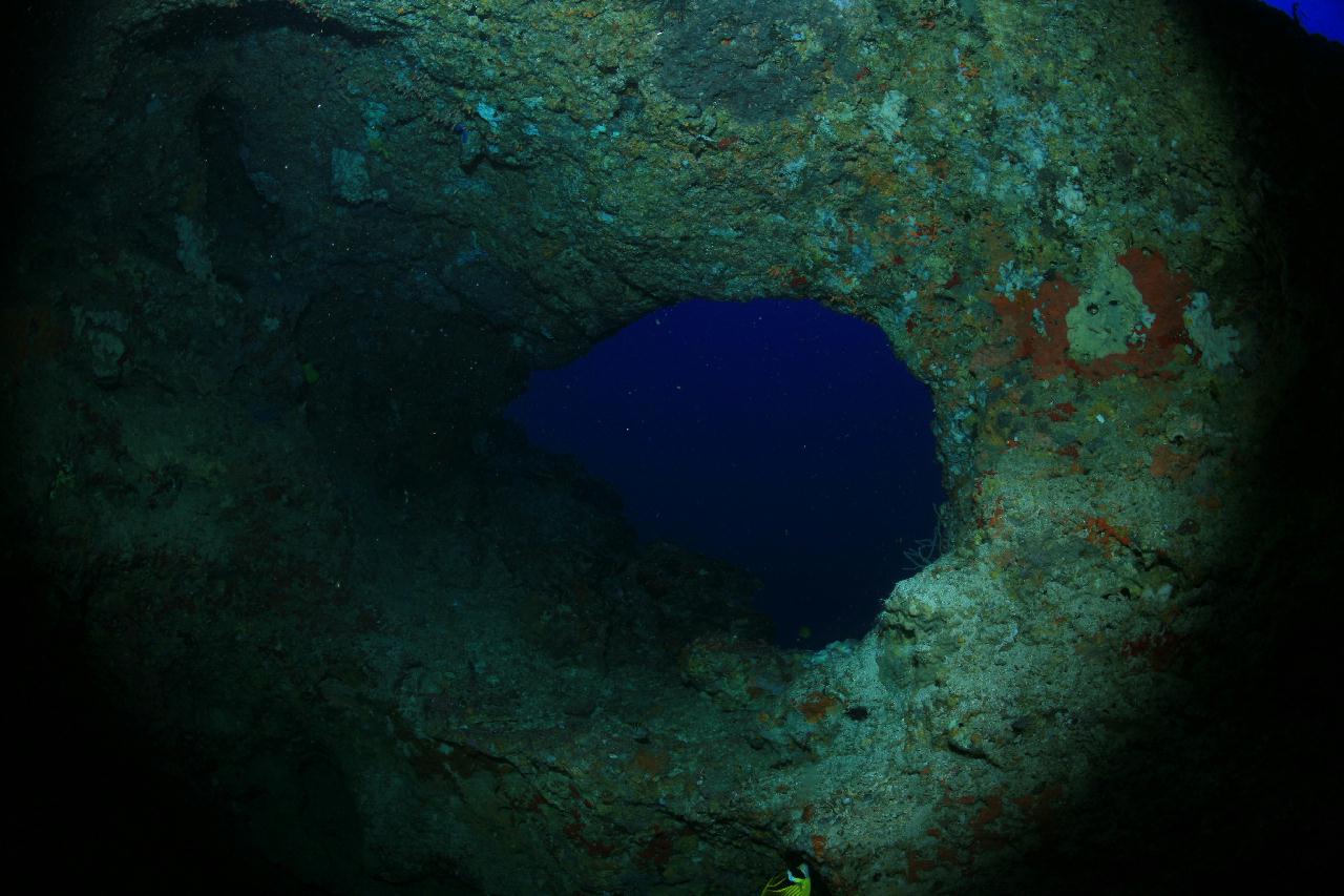 모알보알 pescador island _west 해골바가지 포인트