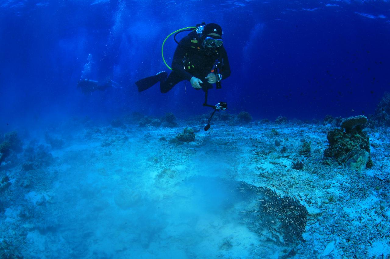 모알보알 pescador island _east point