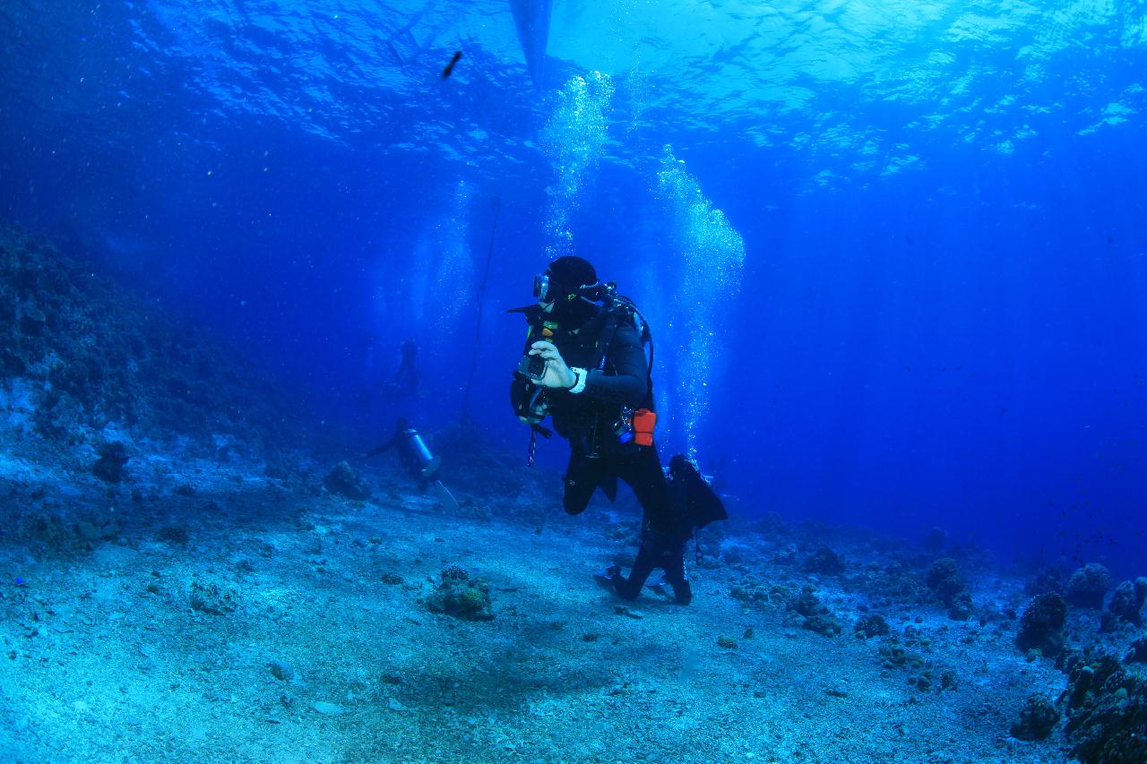 모알보알 pescador island _east point