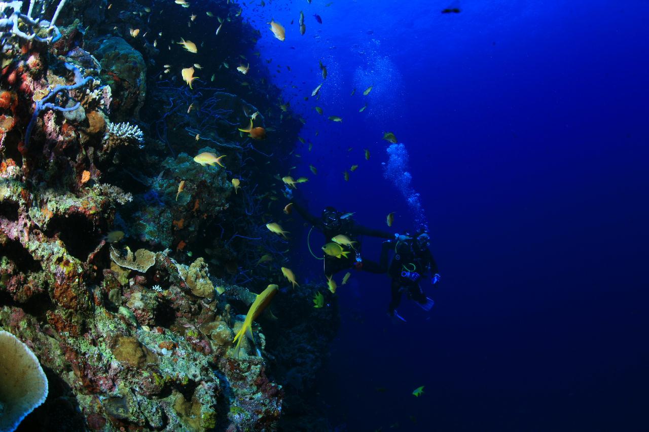 모알보알 pescador island _west 해골바가지 포인트