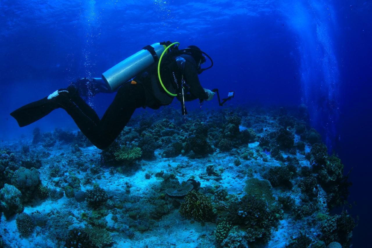 모알보알 pescador island _east point