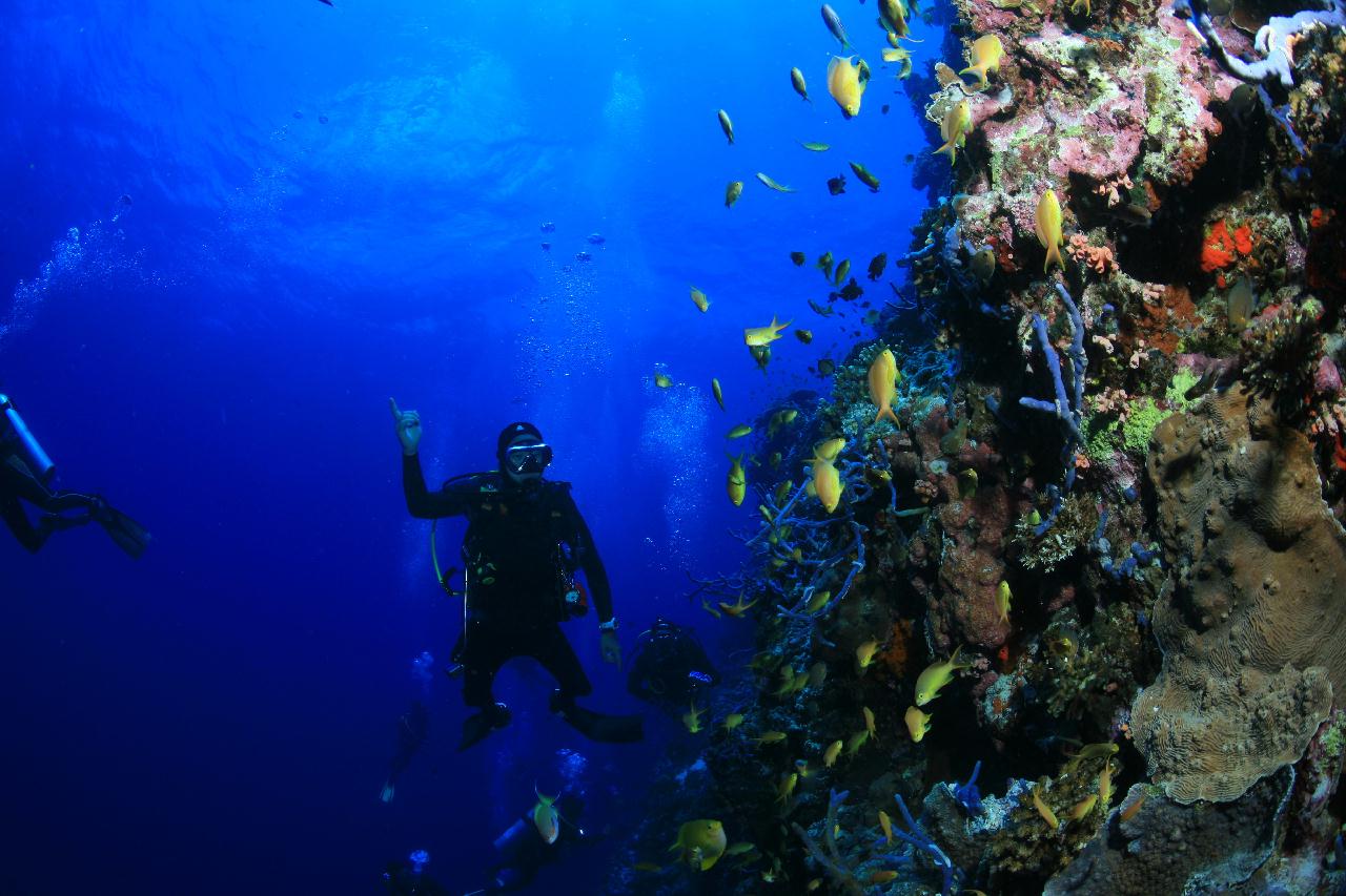 모알보알 pescador island _east point