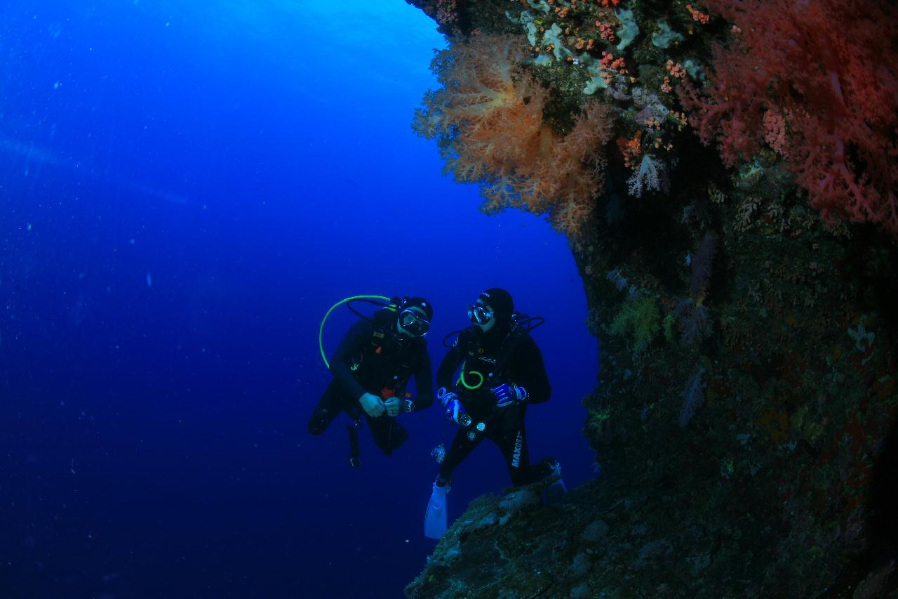 모알보알 pescador island _ east side
