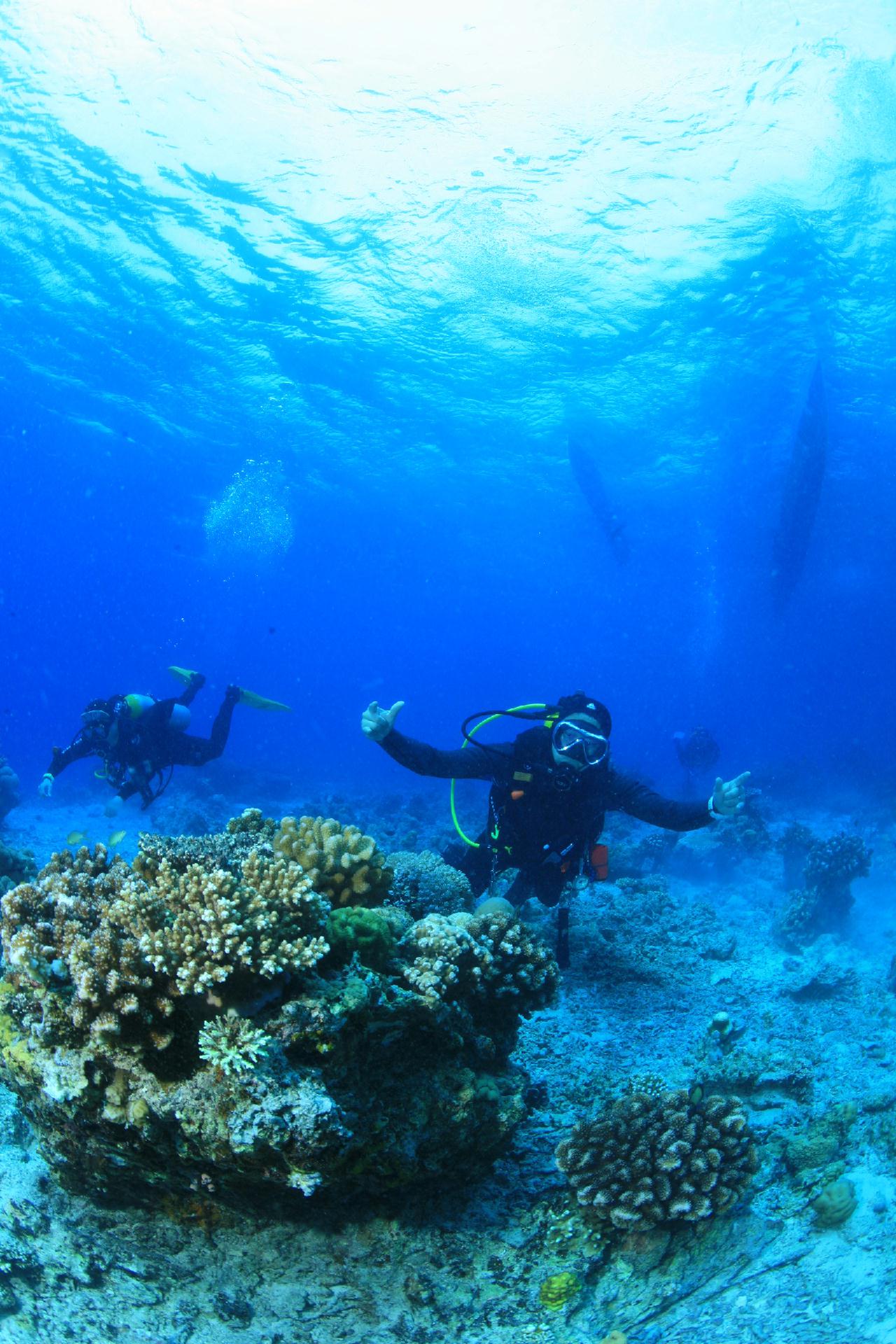 모알보알 pescador island _south ~ west