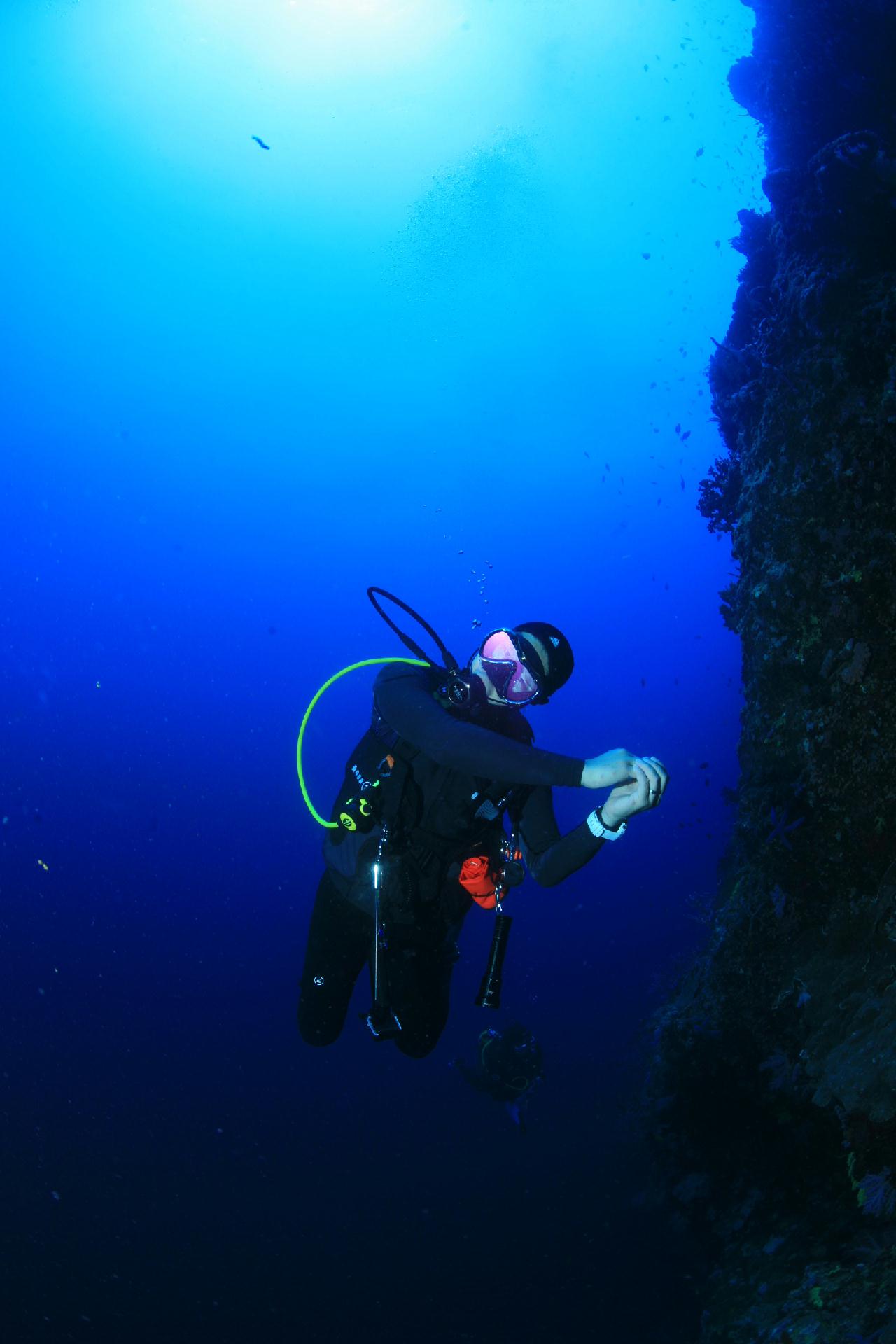 모알보알 pescador island _ east side