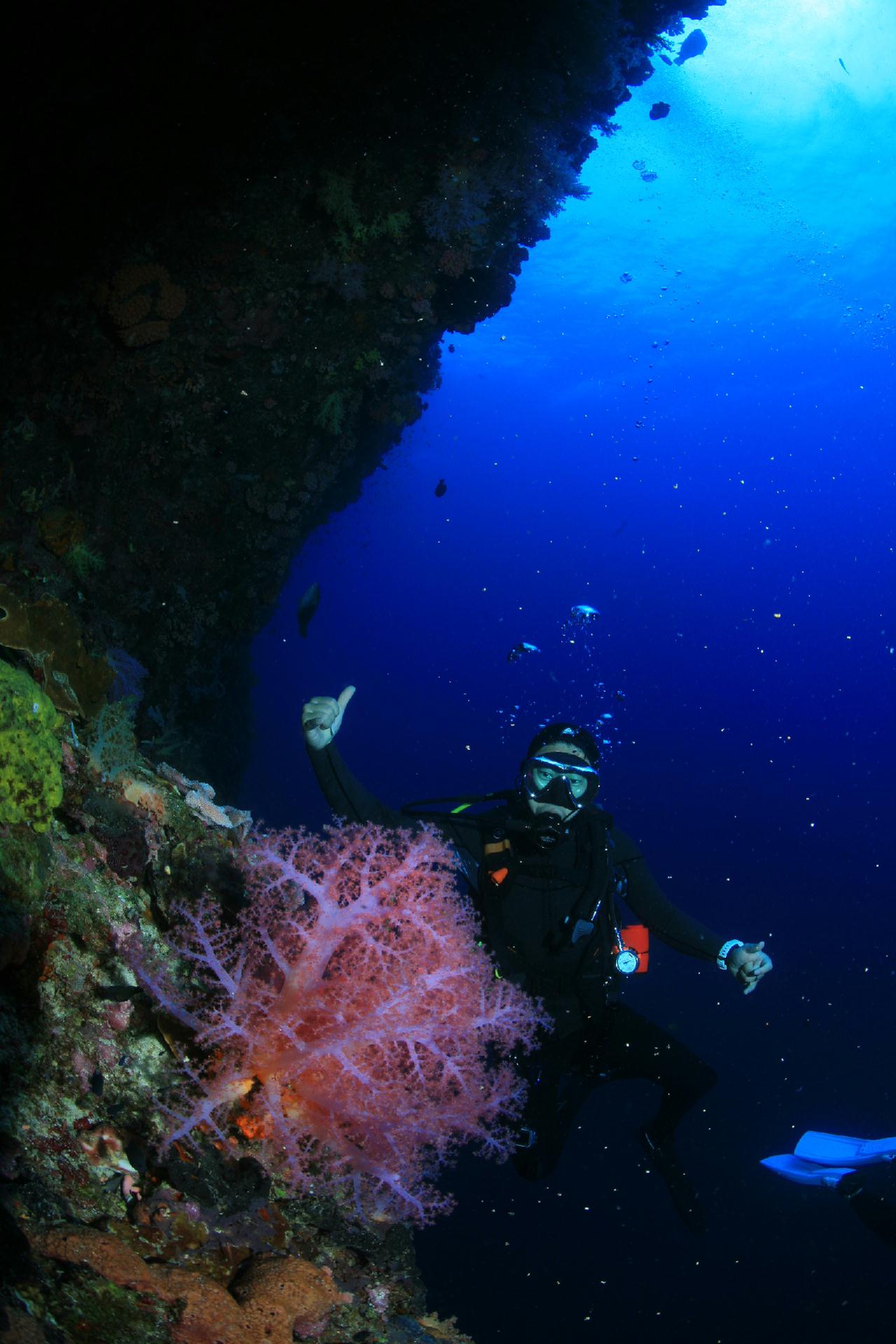 모알보알 pescador island _south ~ west