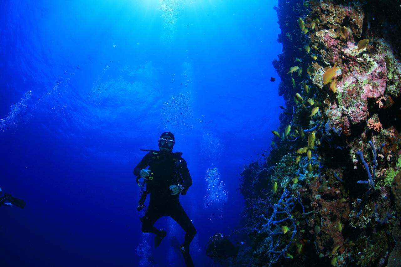 모알보알 pescador island _east point