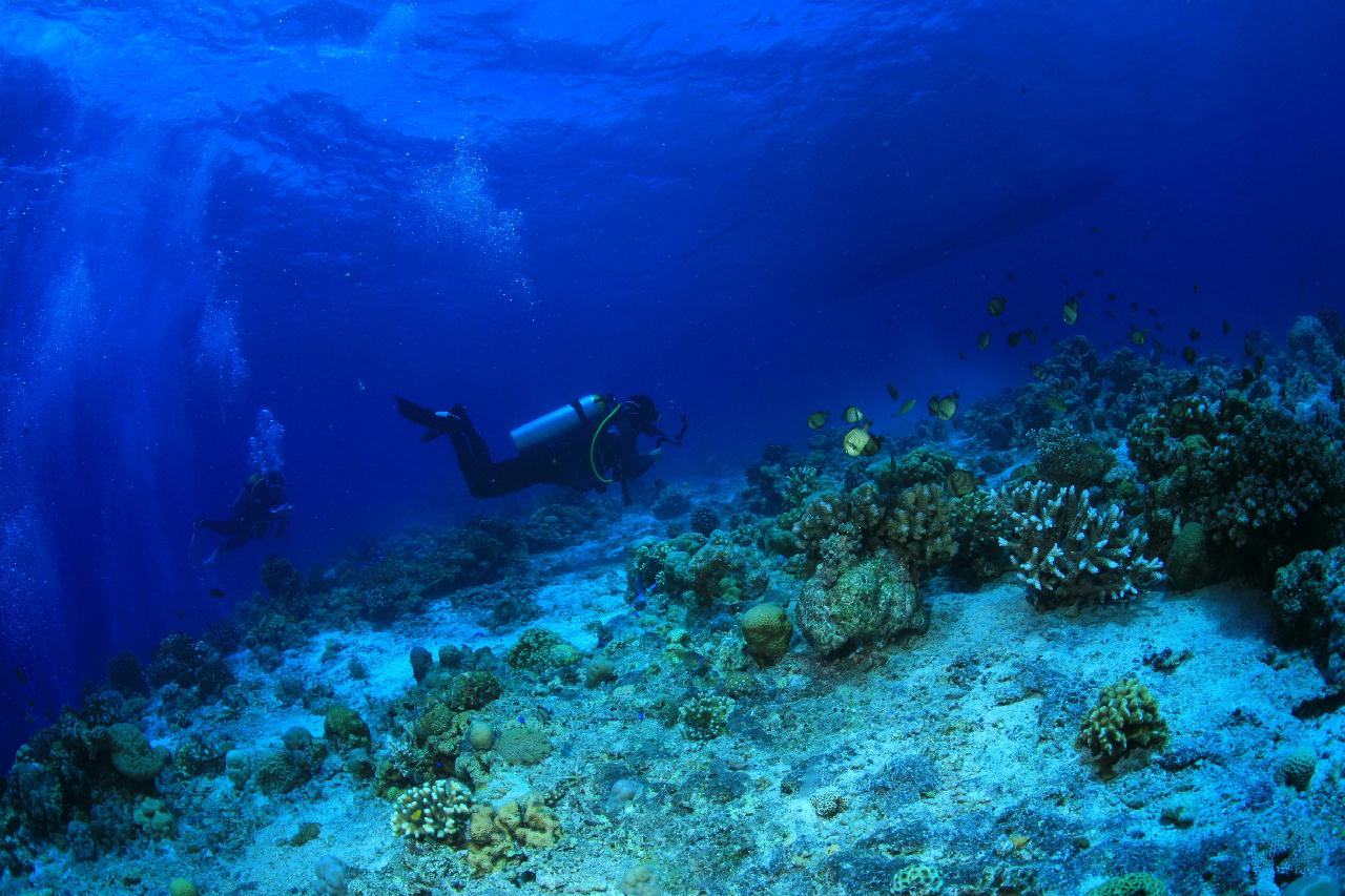 모알보알 pescador island _east point