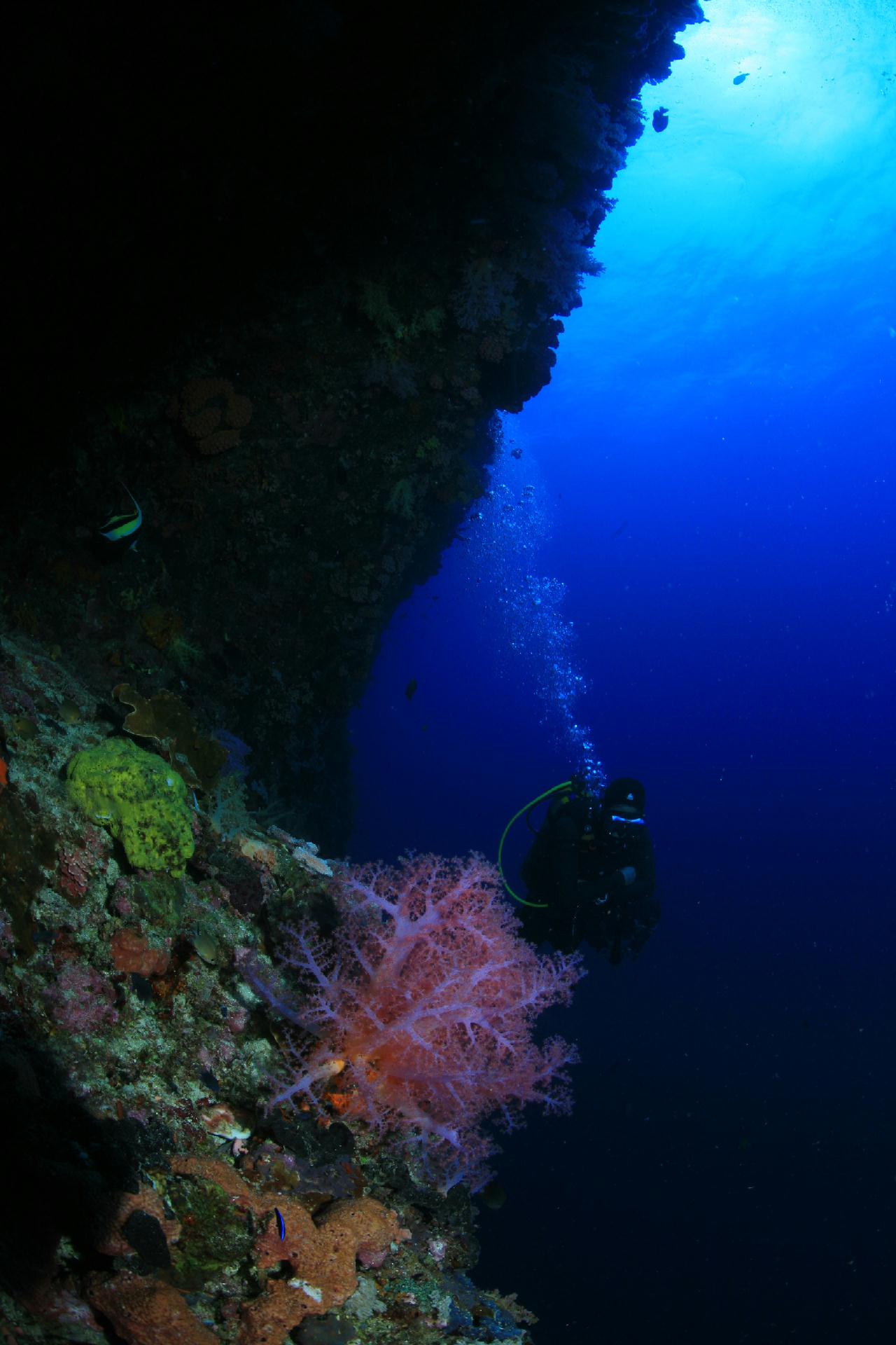 모알보알 pescador island _south ~ west