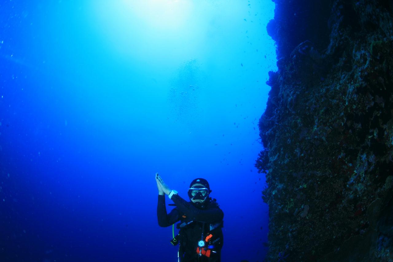 모알보알 pescador island _ east side