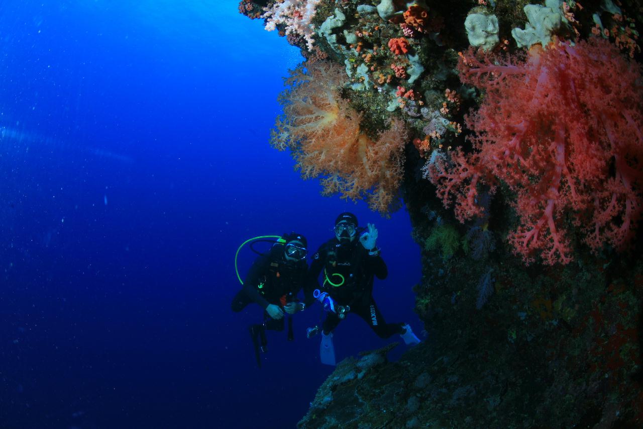 모알보알 pescador island _ east side