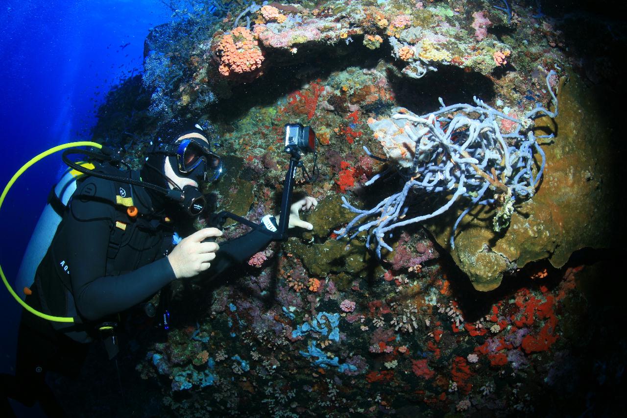 모알보알 pescador island _west 해골바가지 포인트