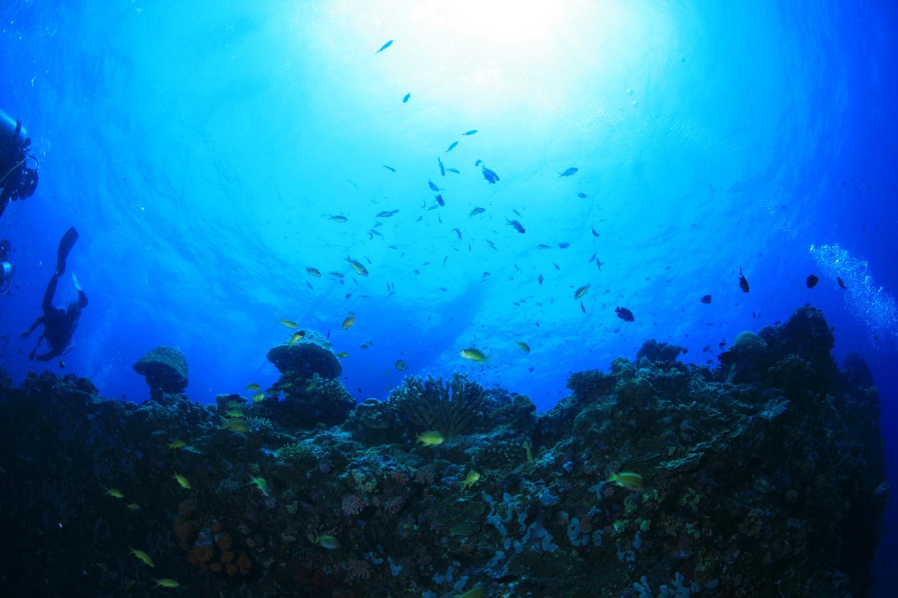 모알보알 pescador island _ east side