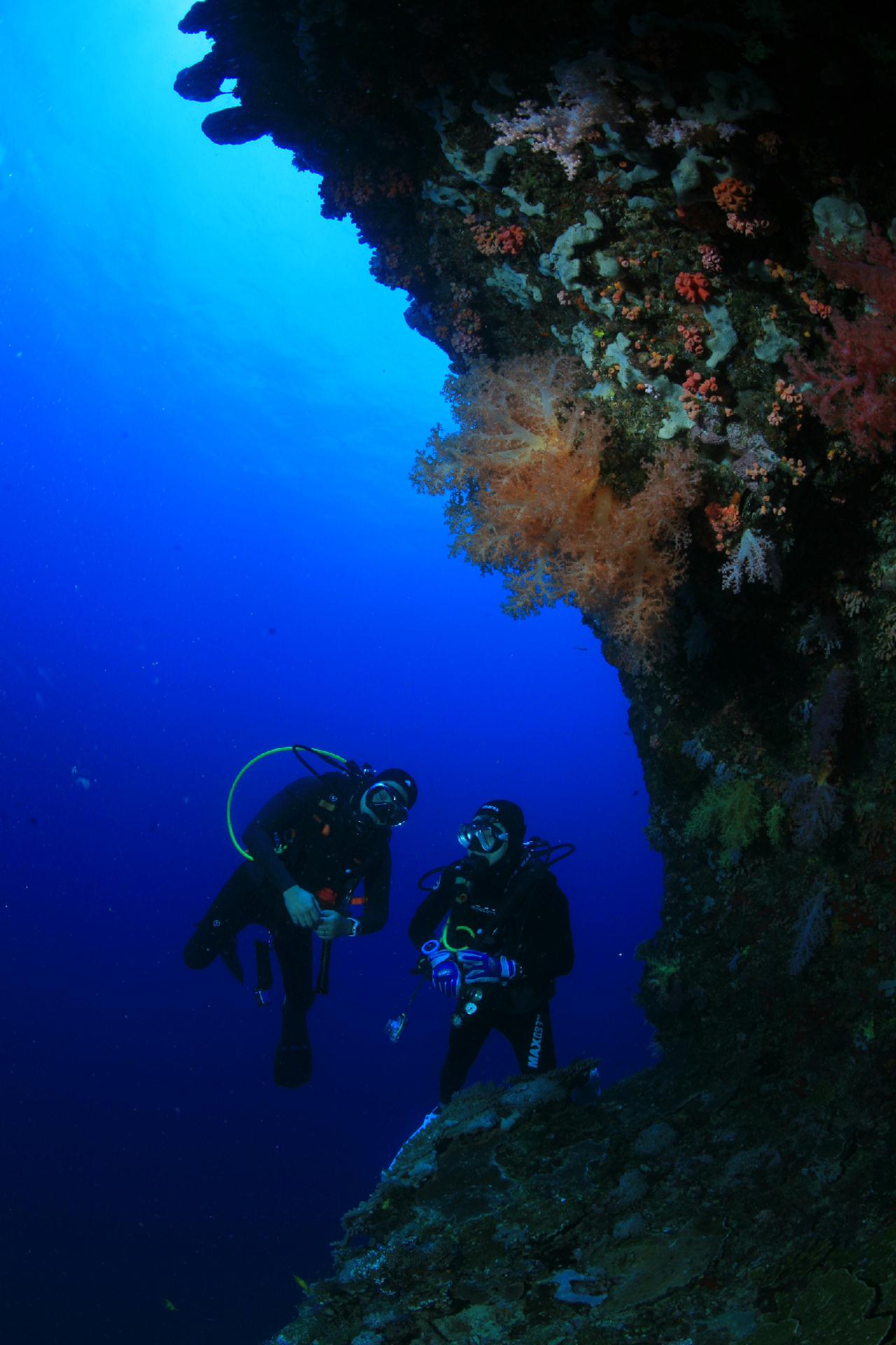 모알보알 pescador island _ east side