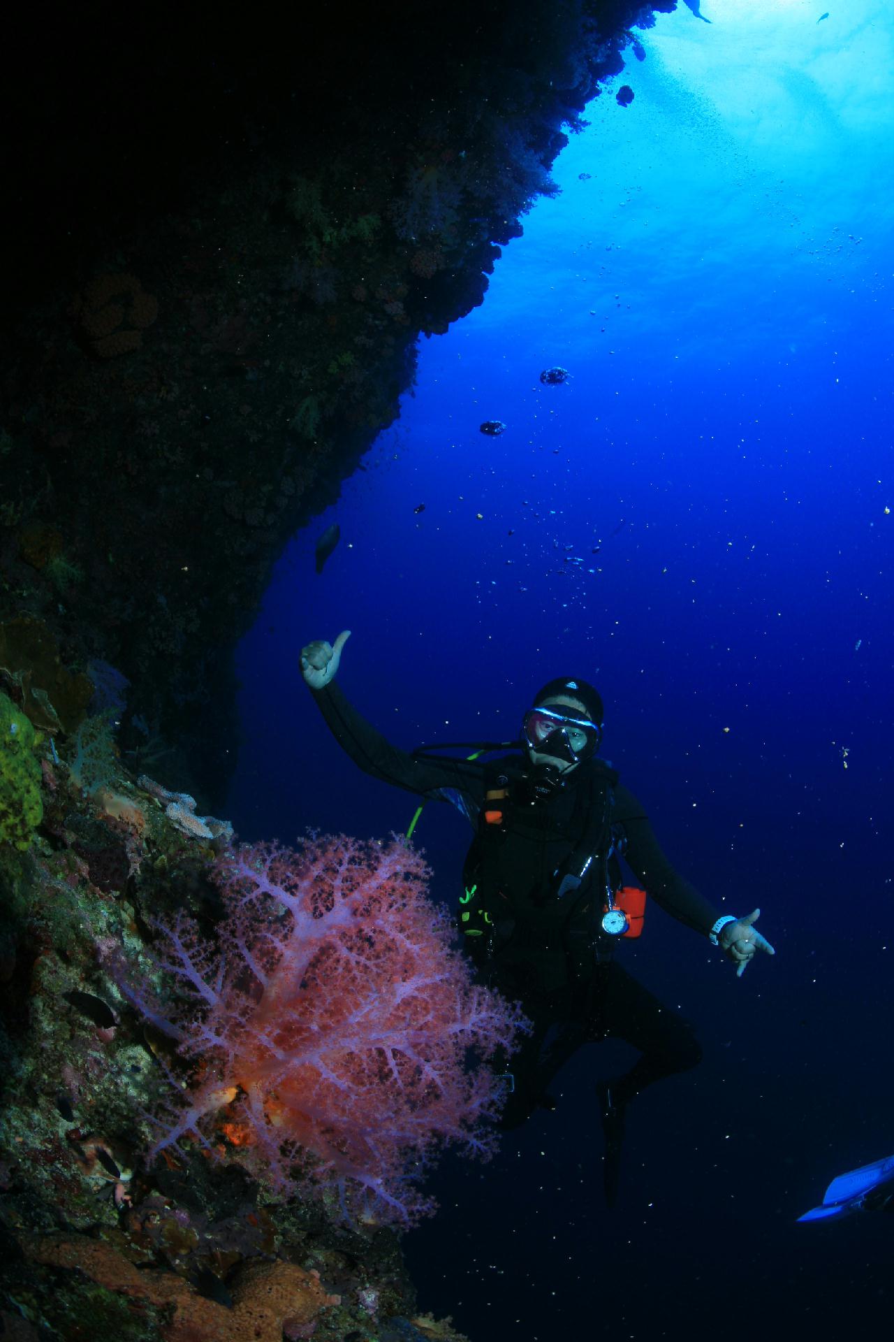 모알보알 pescador island _south ~ west