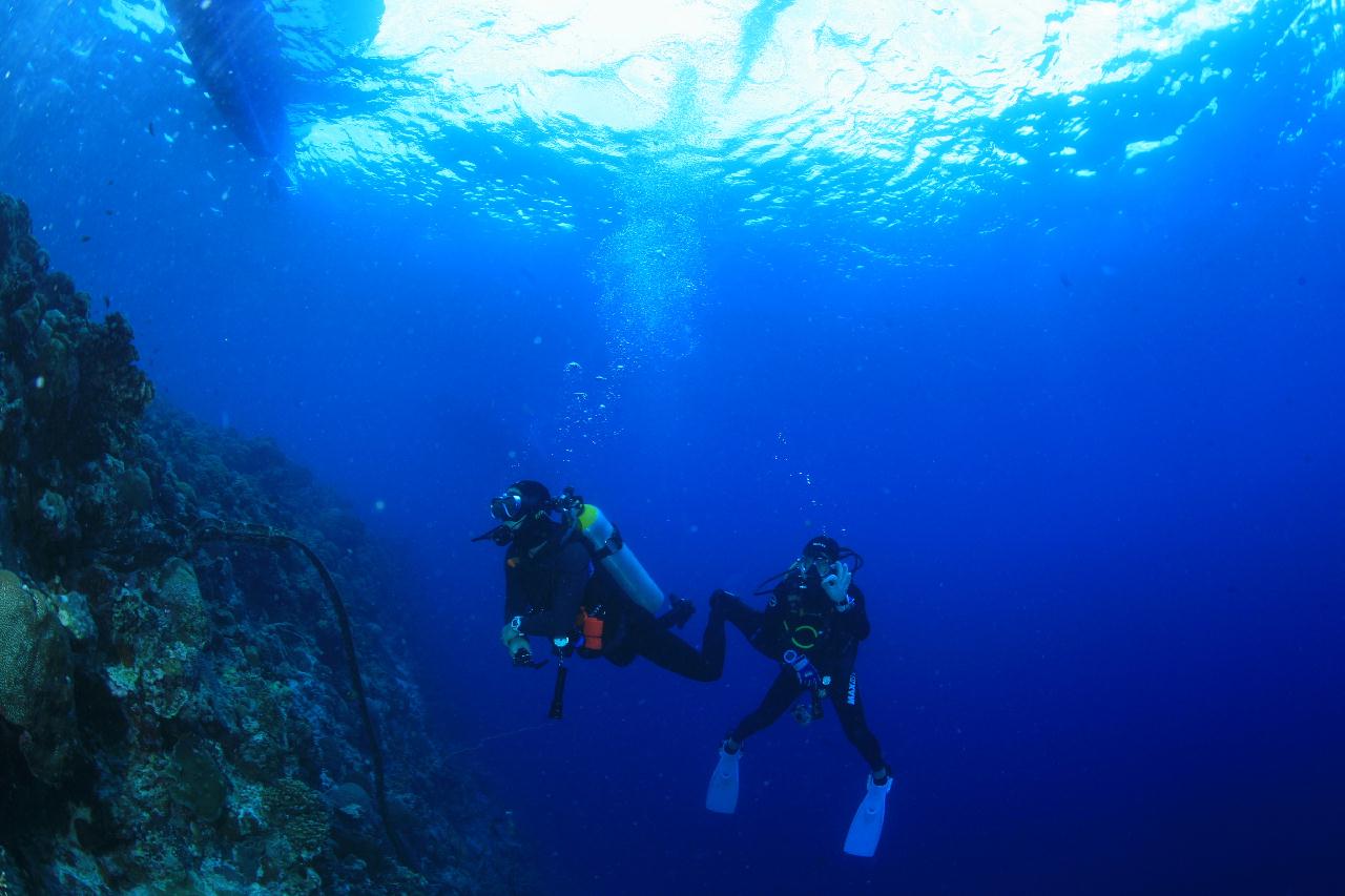 모알보알 pescador island _south ~ west