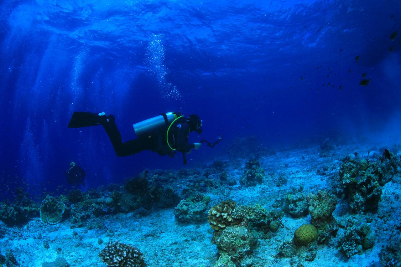 모알보알 pescador island _east point