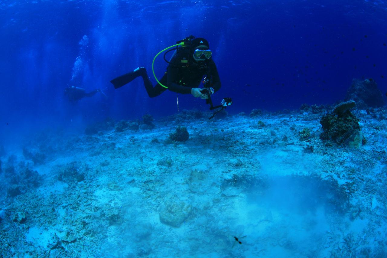 모알보알 pescador island _east point