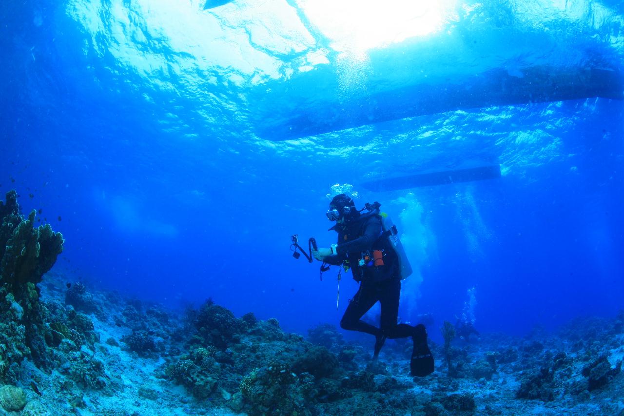 모알보알 pescador island _south ~ west