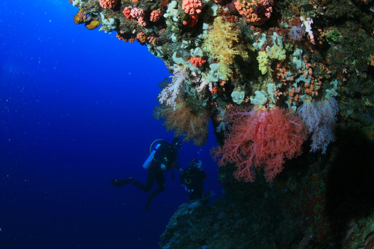 모알보알 pescador island _ east side