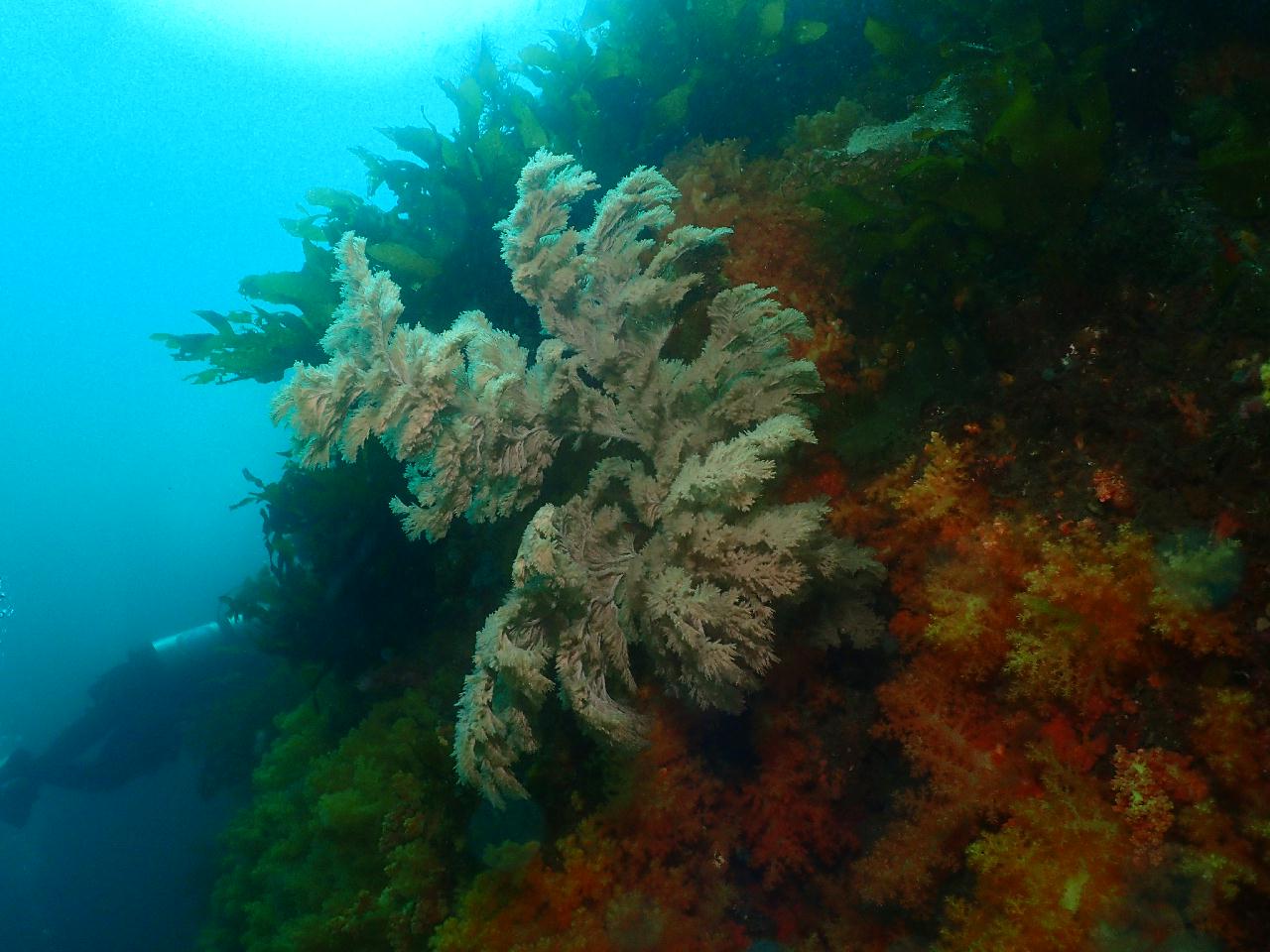 제주도가 좋아 2주만에 다시찾은 앨리스님과 함께 워밍업!!