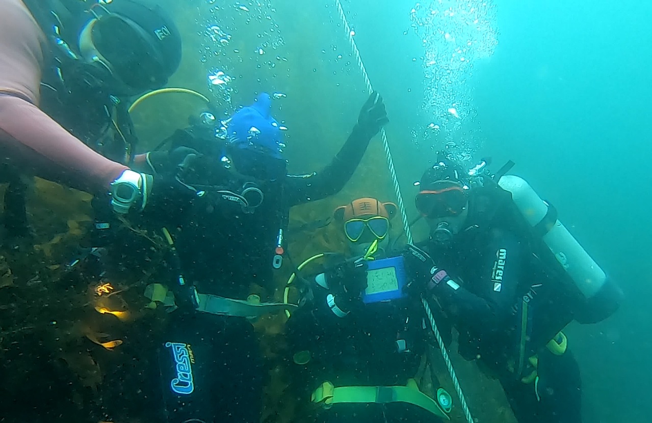 빡신 오픈워터/어드밴스드 다이버 일정