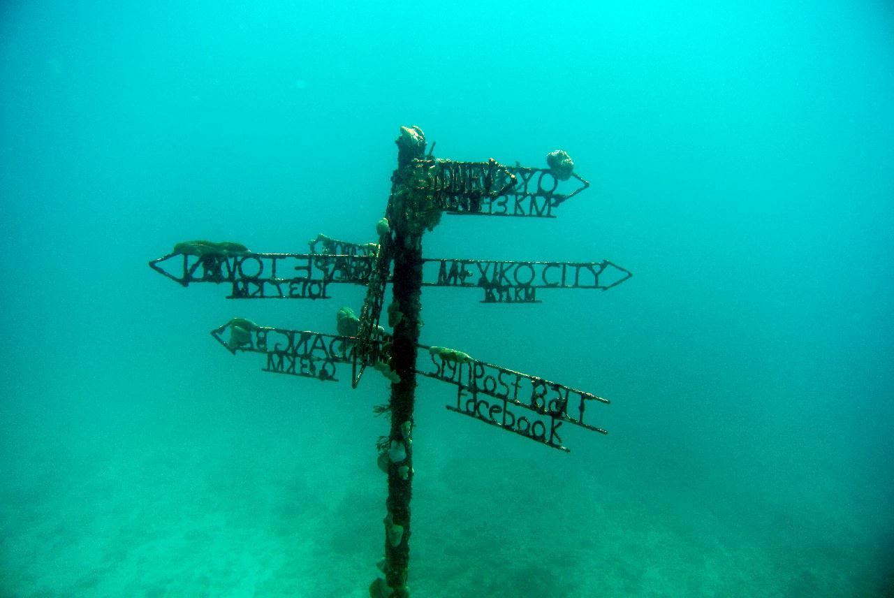 발리 빠당바이 - 터틀넥