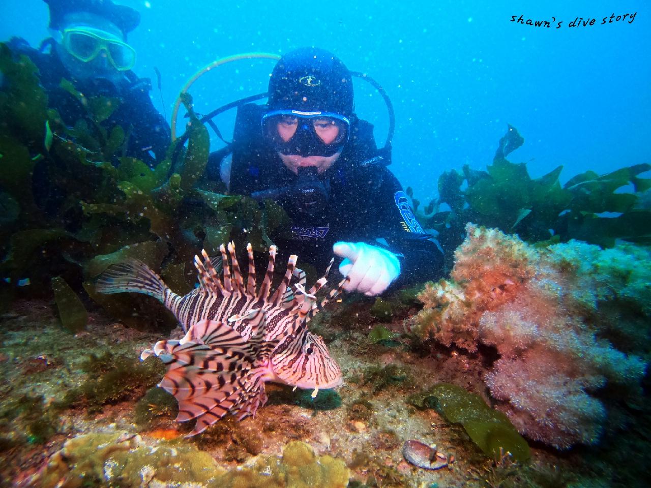 오픈워터 개방수역 2