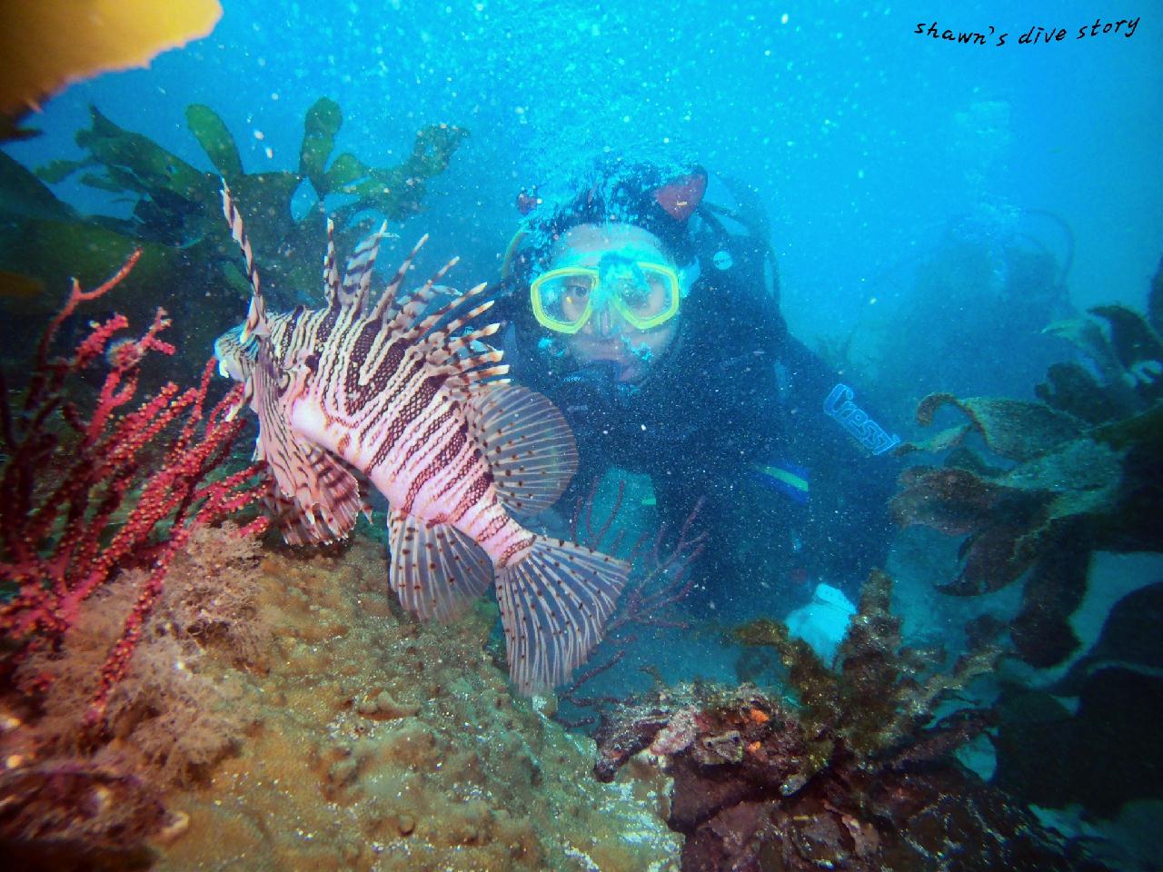 오픈워터 개방수역 2