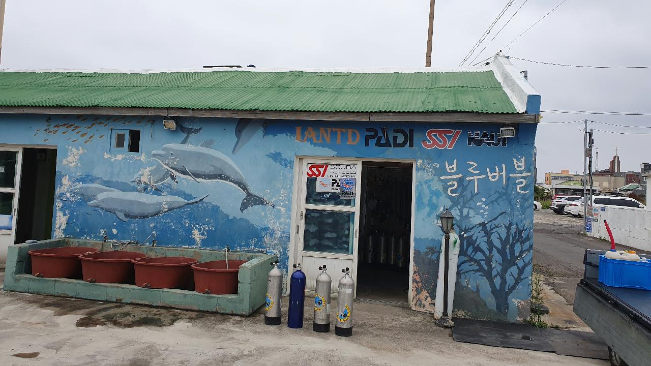 제주도 성산 블루버블 톤독