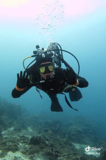 9로그