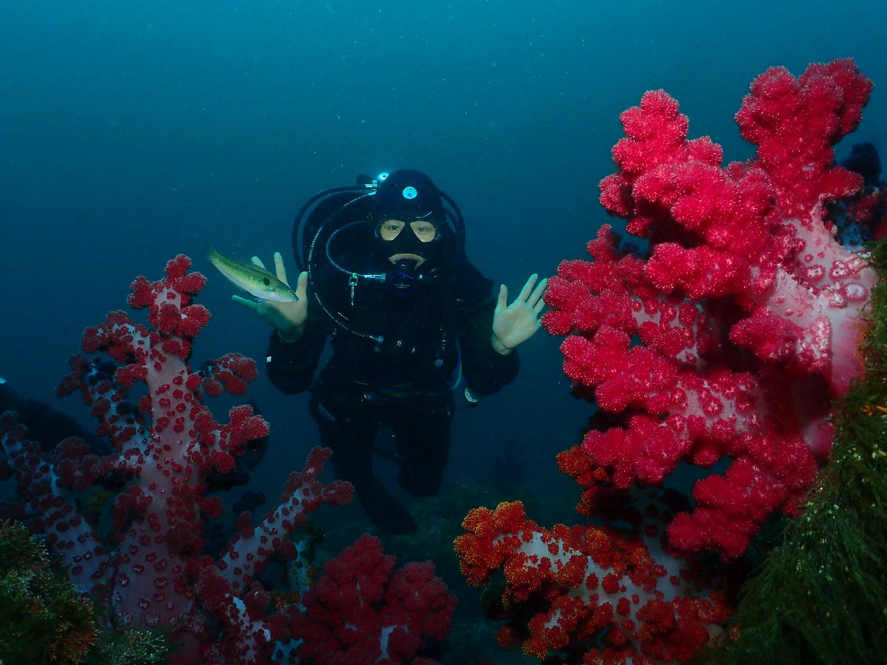 다금바리 천국, 범섬