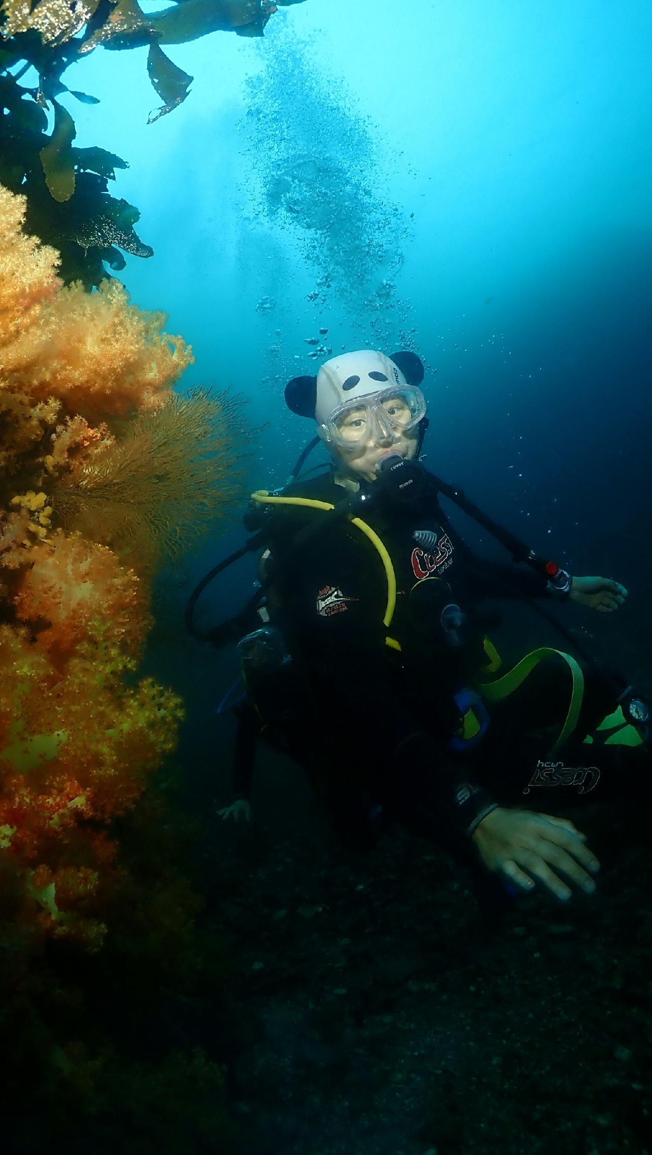 10번째 다이빙 제주도 문섬 한개창_굿다이버