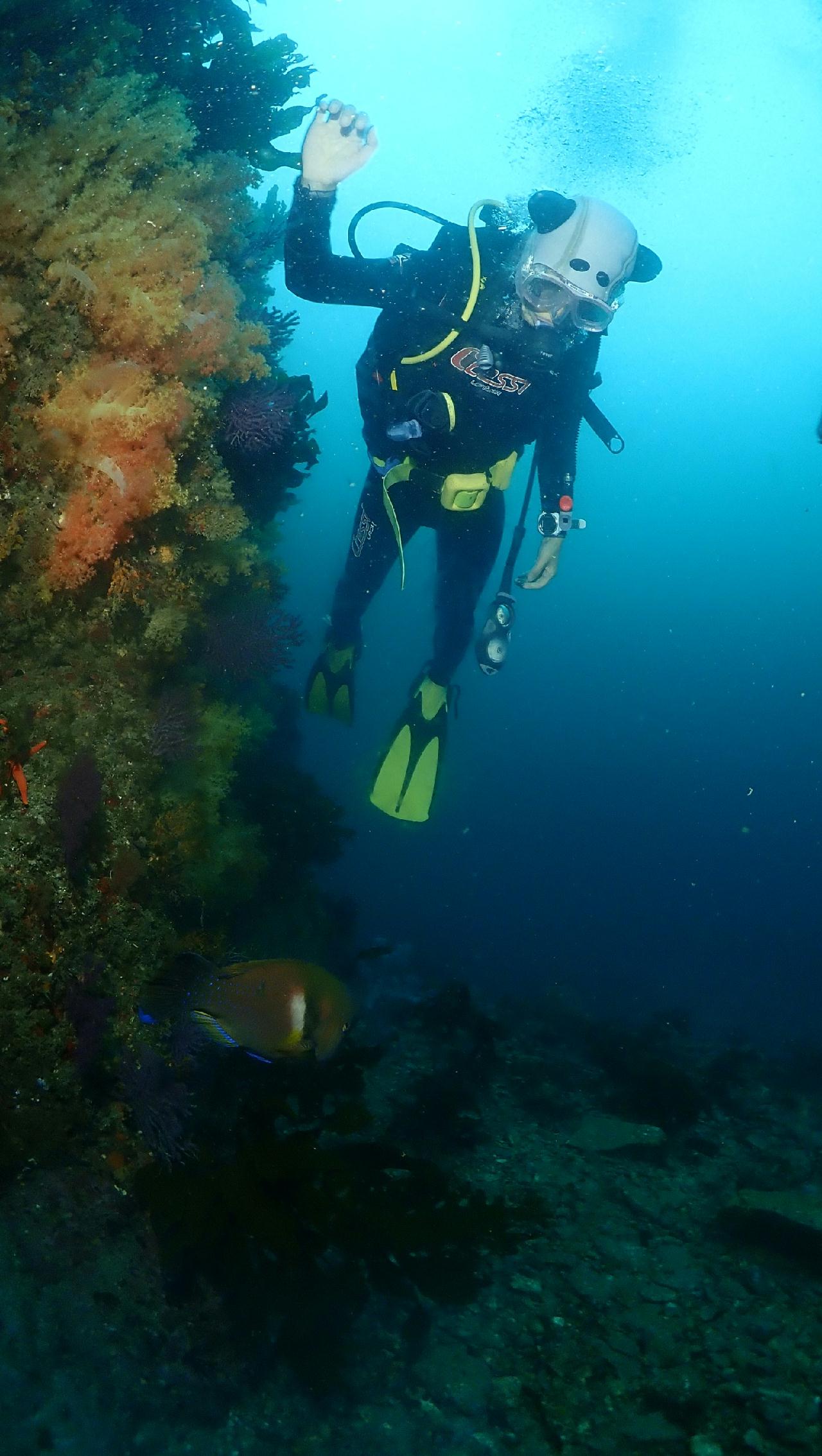 10번째 다이빙 제주도 문섬 한개창_굿다이버