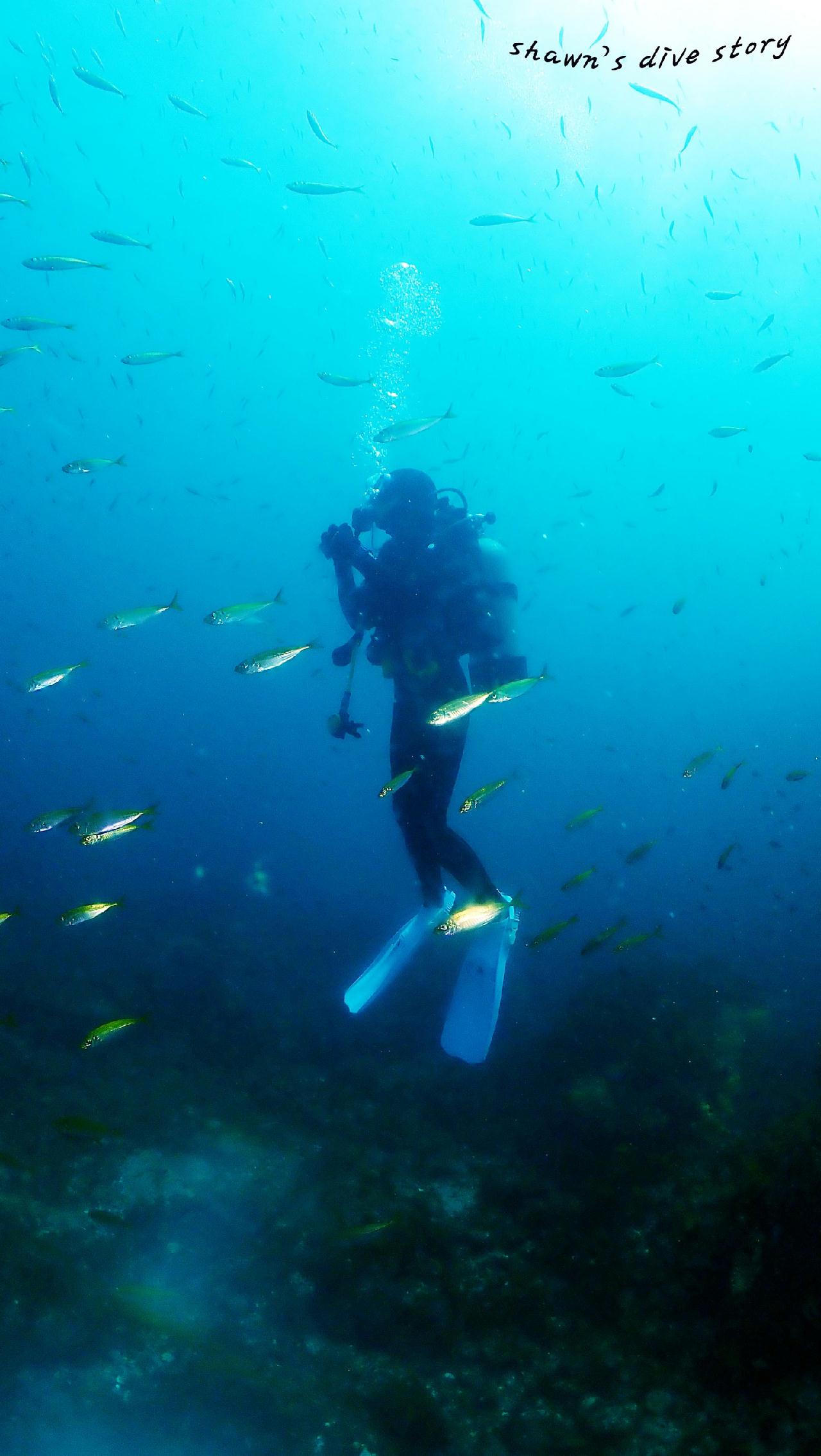 Discovery diving day?