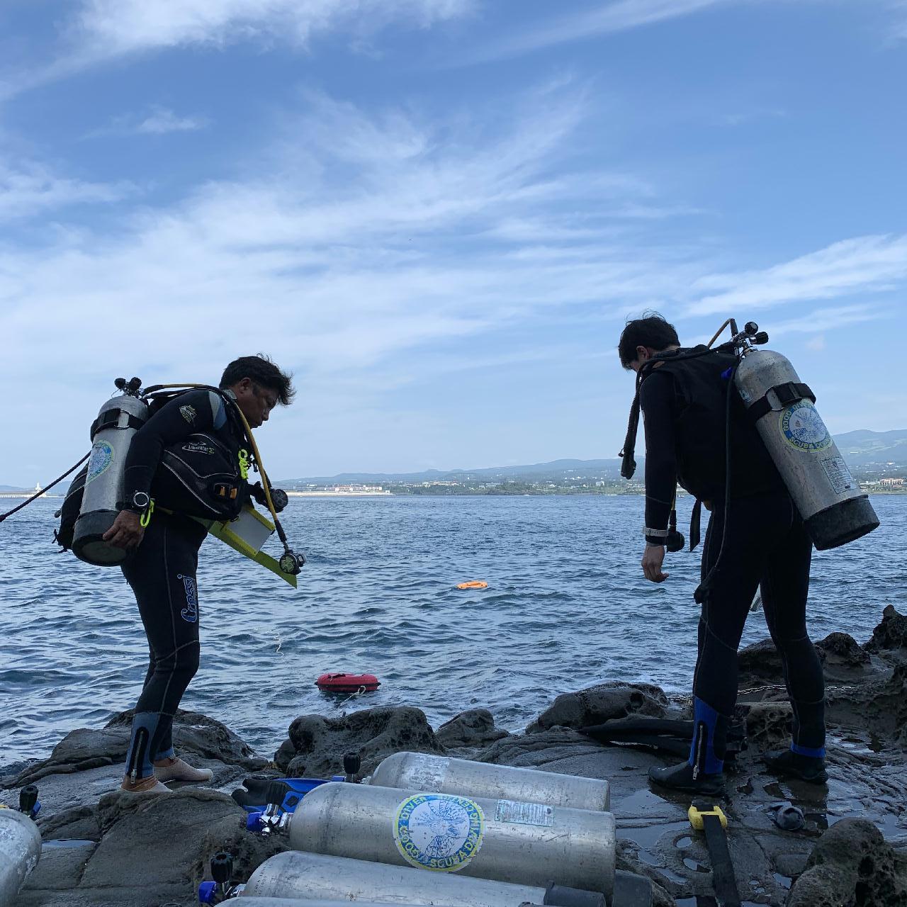 Discovery diving day?