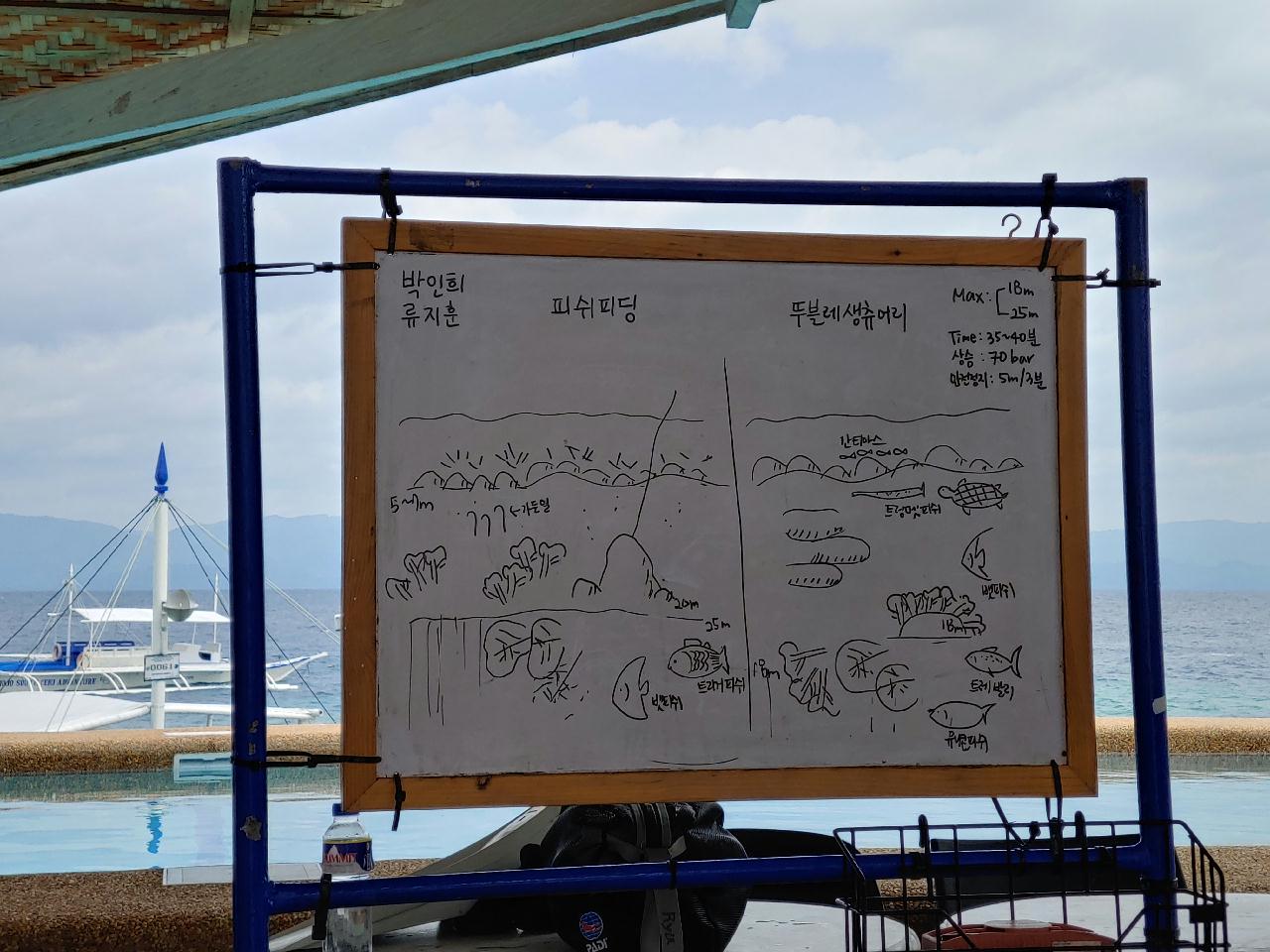 필리핀 세부 모알보알 - 피쉬피딩