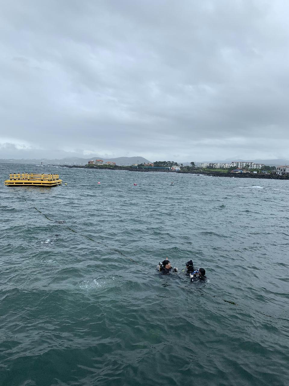 Open water diver course-Confined water 