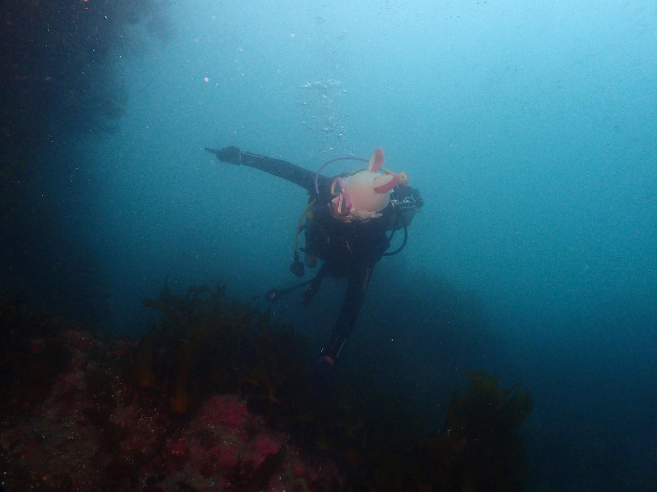 드리프트 다이빙