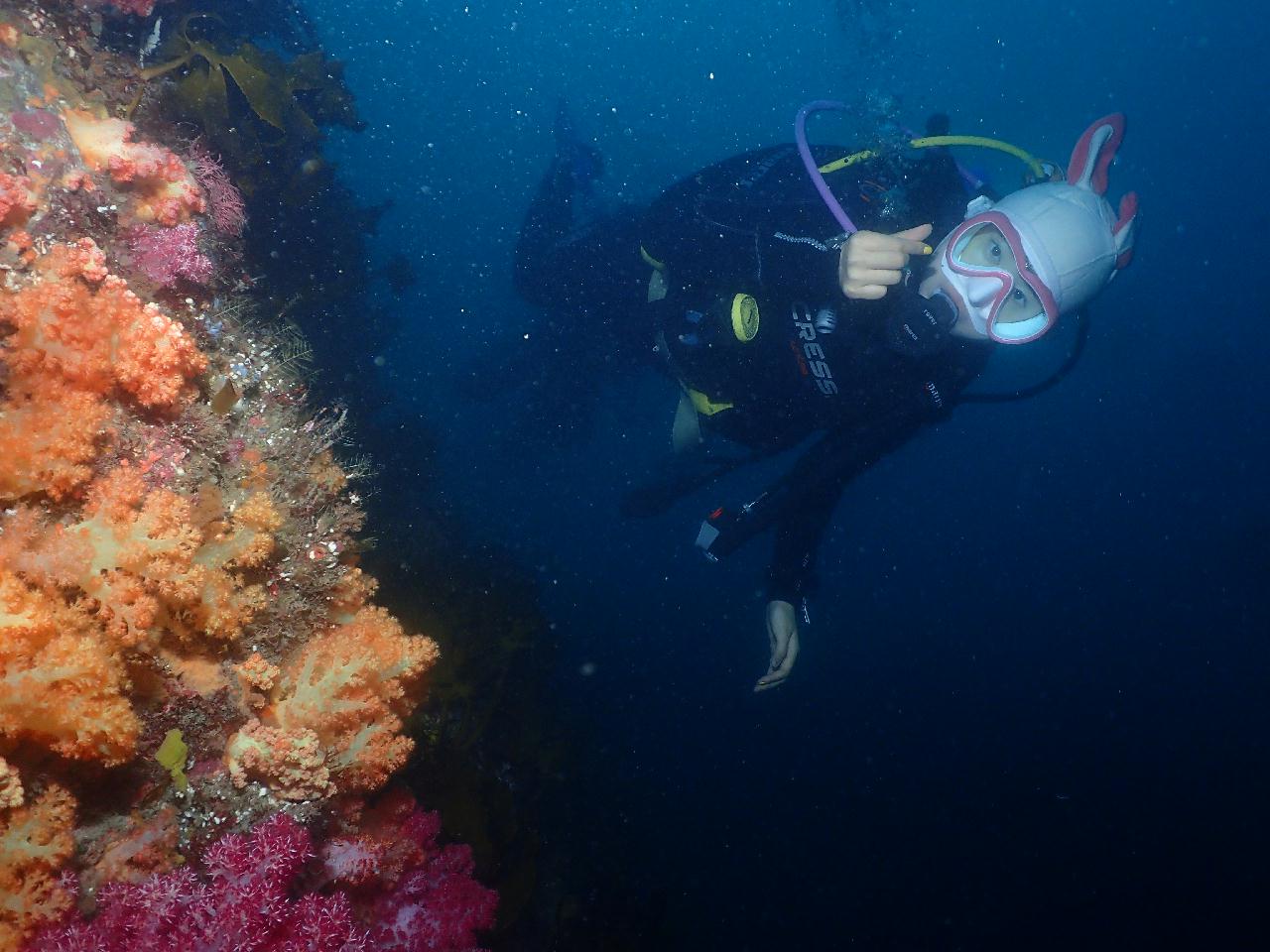 드리프트 다이빙