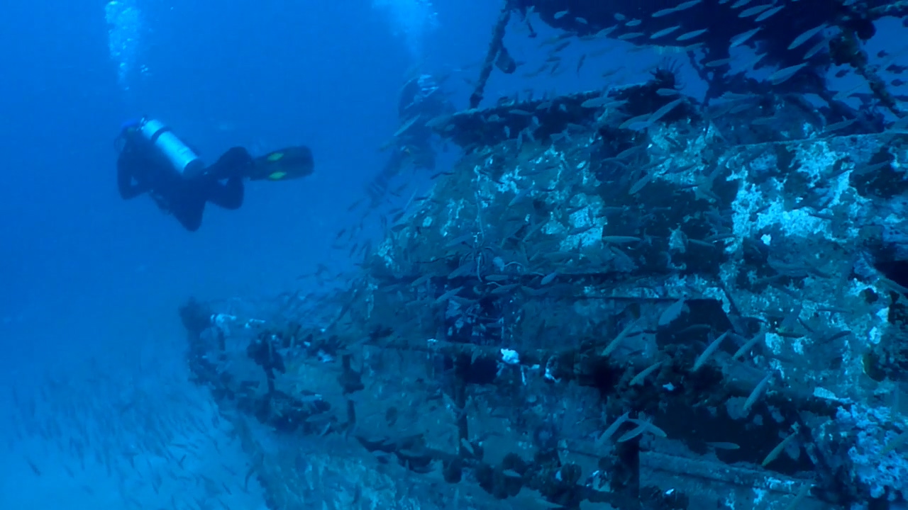 Bohol Blue Water Dive Resort Wreck