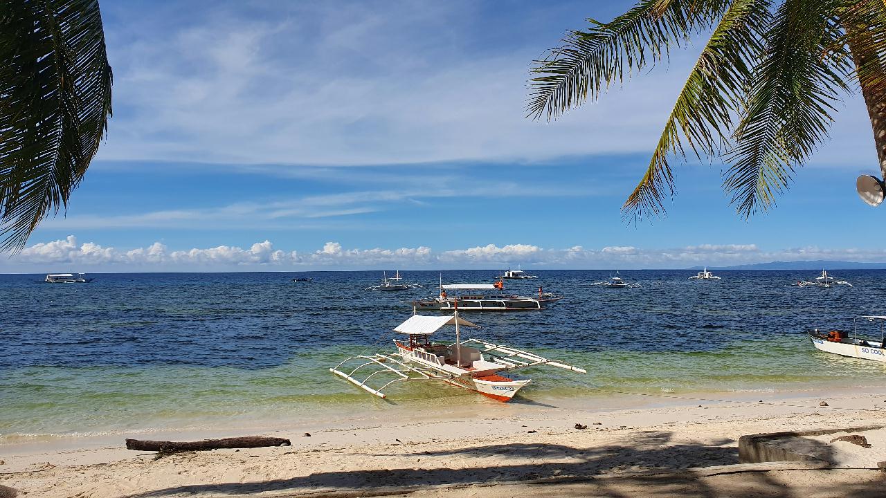 Bohol Blue Water Dive Resort Panglao Is. P.P.B