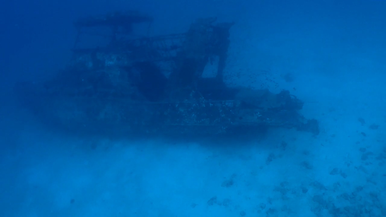 Bohol Blue Water Dive Resort Wreck