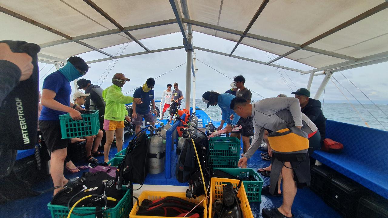 Bohol Blue Water Dive Resort Balicasag Is. Black Forest