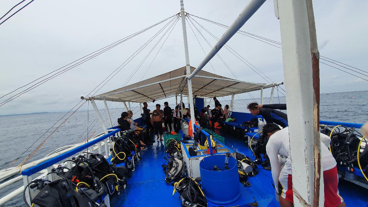 Bohol Blue Water Dive Resort Balicasag Is. Black Forest