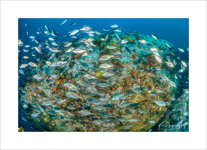 강릉 마린플래닛 - 쥬라기 월드