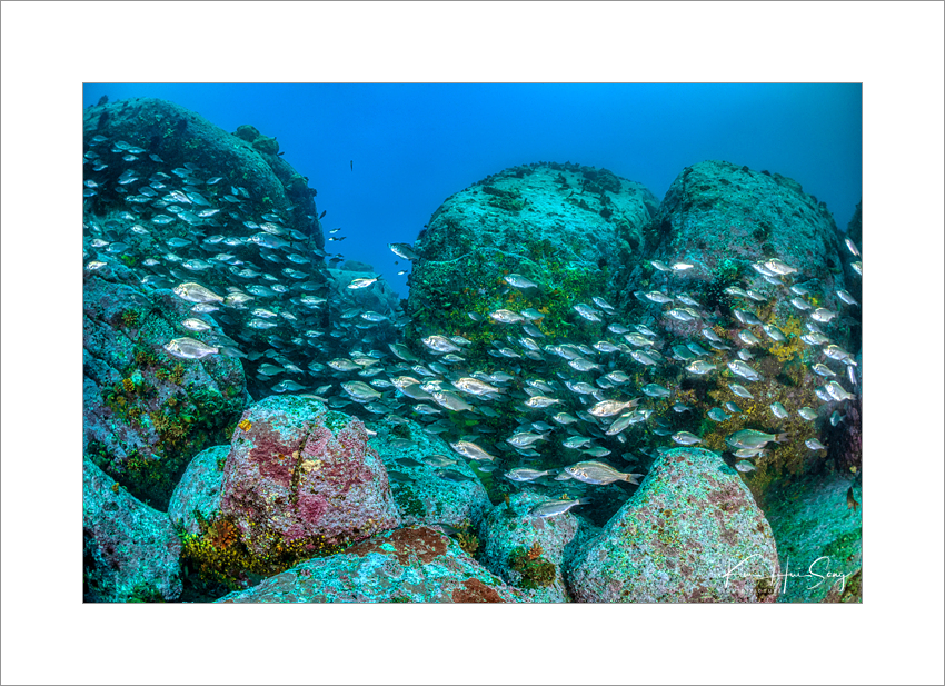 강릉 마린플래닛 - 쥬라기 월드