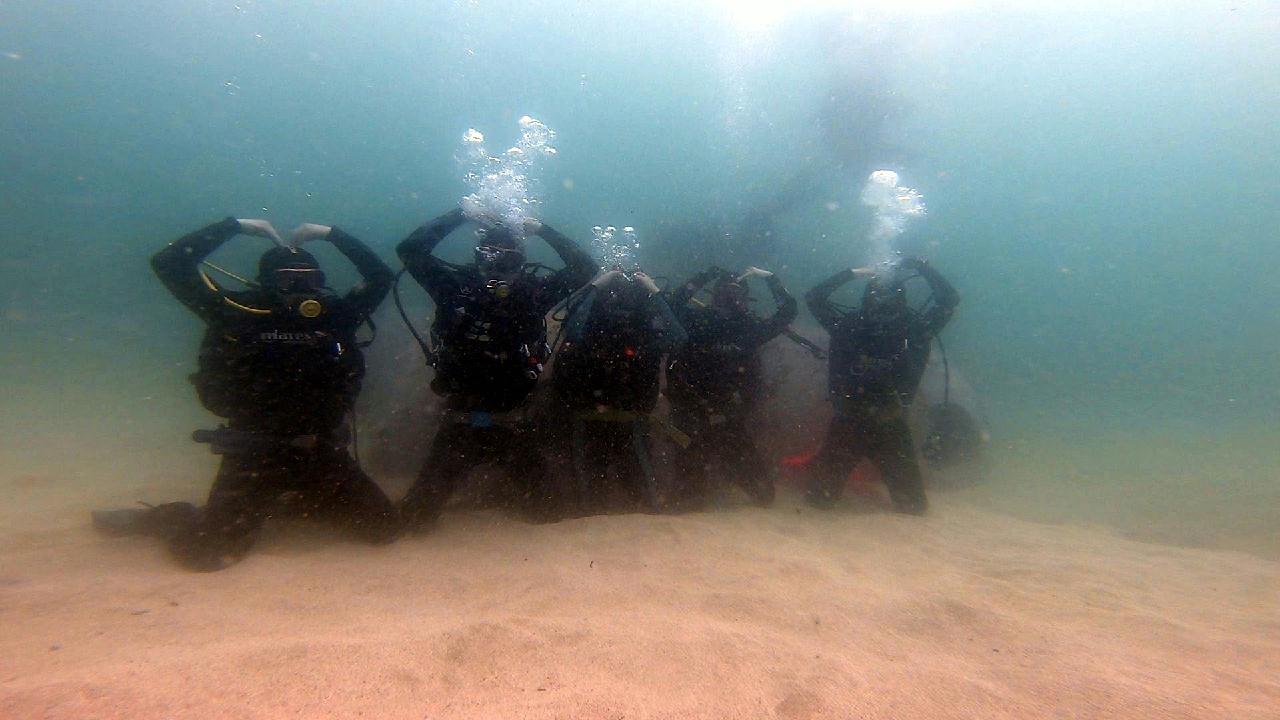 패닉다이버 달래주기