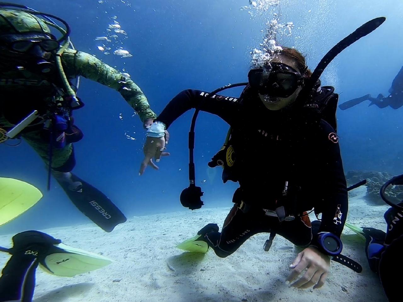 # OPEN WATER 1