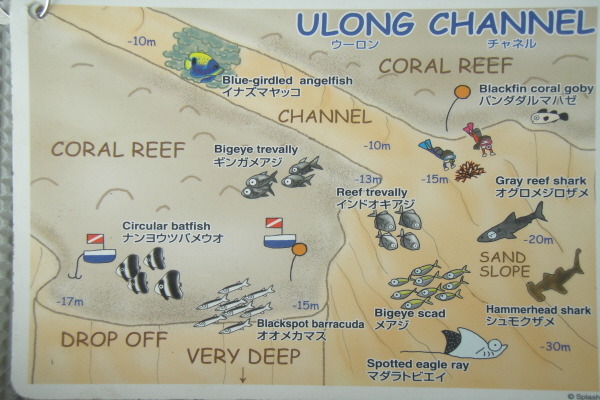 팔라우 - Ulong Channel